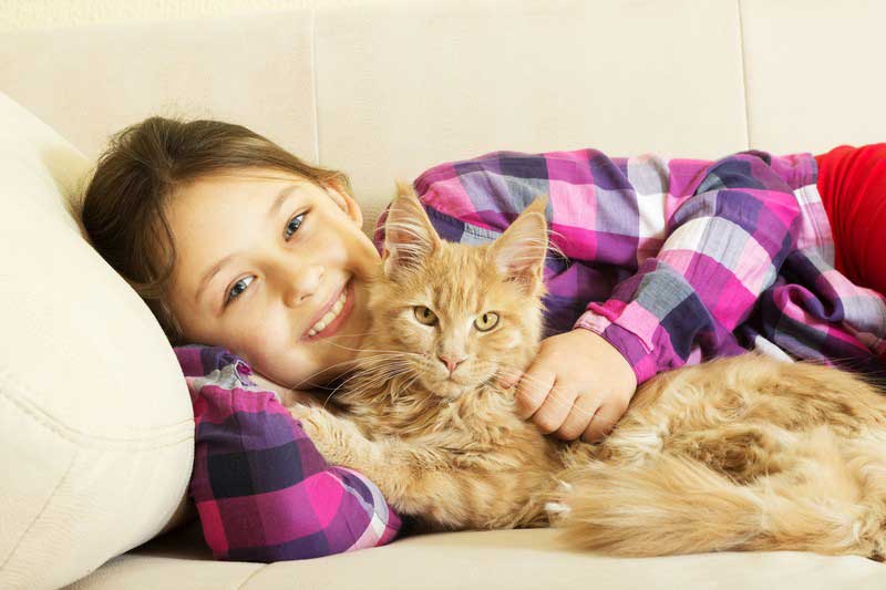 Veterinarian caring for a pet from Dublin, CA at Tassajara Veterinary Clinic