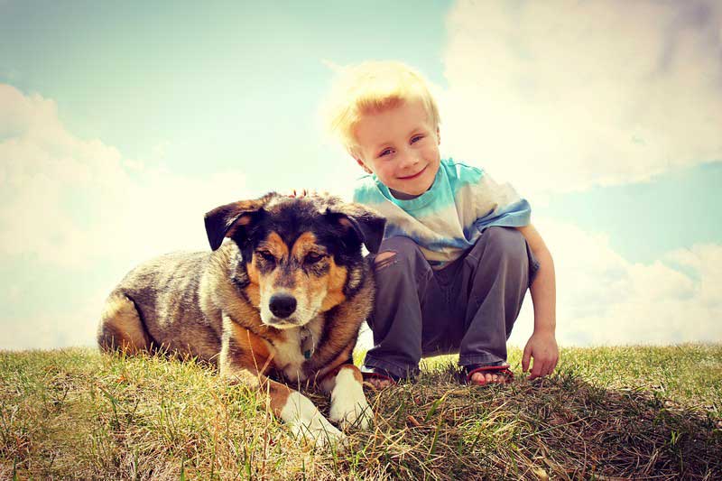 Veterinarian discussing heartworm prevention for a dog at Tassajara Veterinary Clinic in Danville, CA