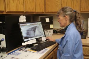 digital radiology