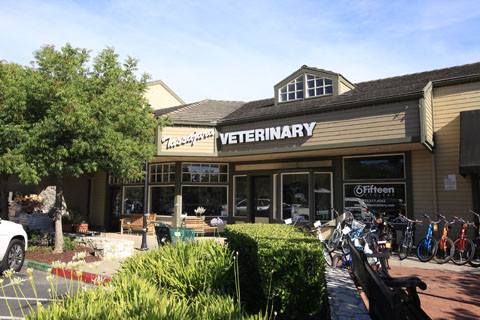 Happy dog with new client family at Tassajara Veterinary Clinic in Danville, CA
