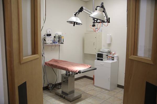 Veterinary surgeon preparing for pet surgery at Tassajara Veterinary Clinic in Danville, CA