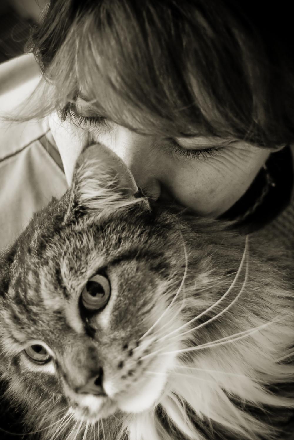 Veterinarian examining a cat for upper respiratory infection symptoms at Tassajara Veterinary Clinic in Danville, CA
